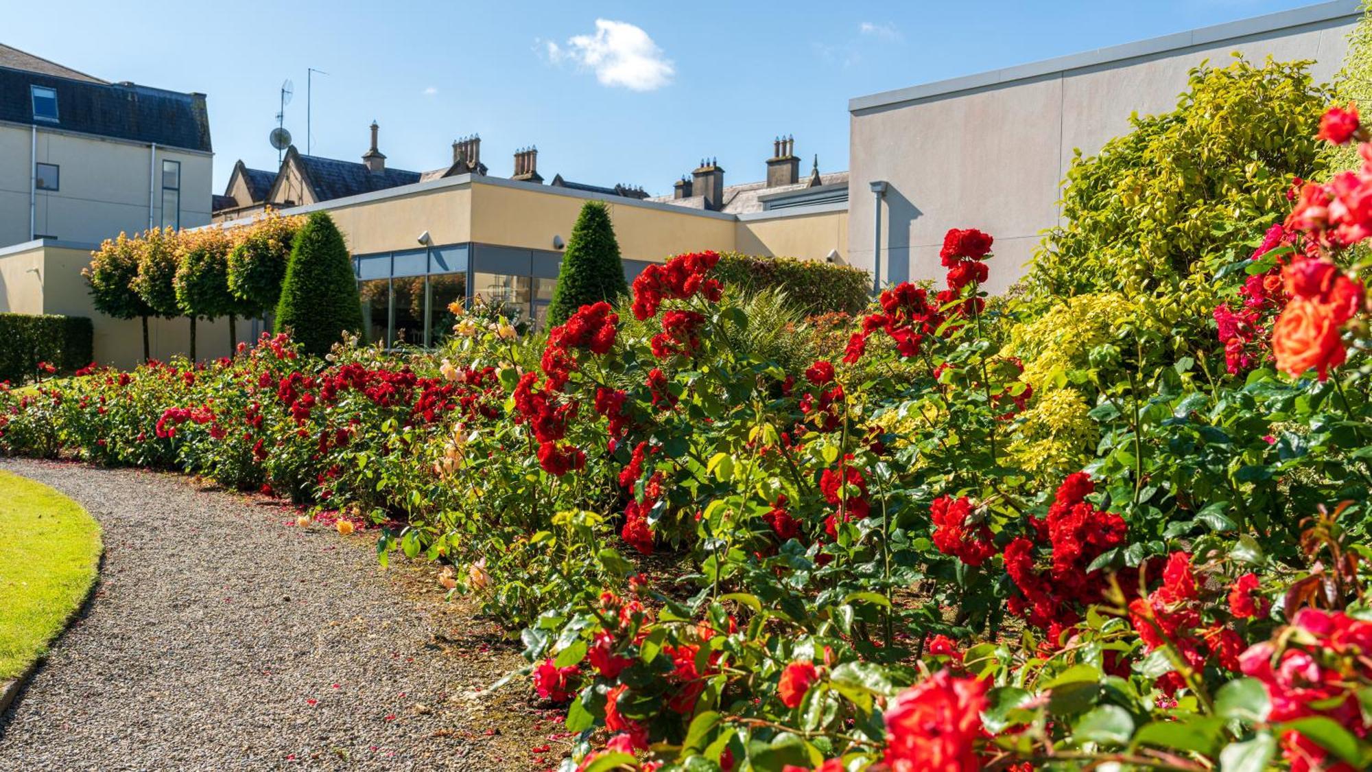 Ballymascanlon Hotel And Golf Resort Dundalk Kültér fotó